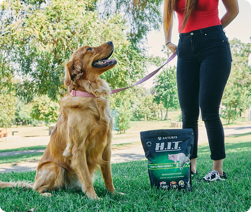 buy purina pro plan dog food Purina Pro Plan Sensitive Skin & Stomach, Salmon & Rice Formula Small Breed Dry Dog Food, 16 lbs main image 0